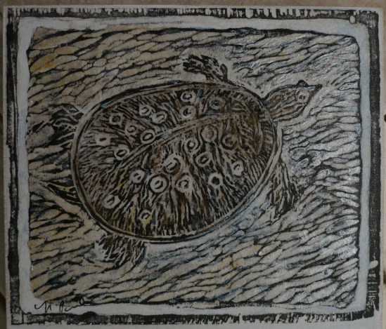 Spiny Softshell Turtle